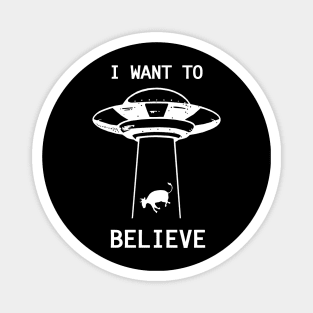 I Want To Believe Magnet